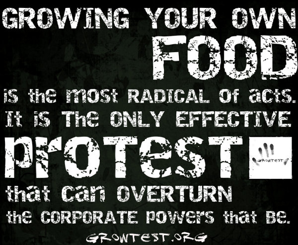 growing your own food