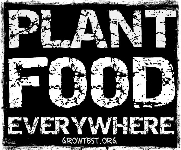 plant food everywhere